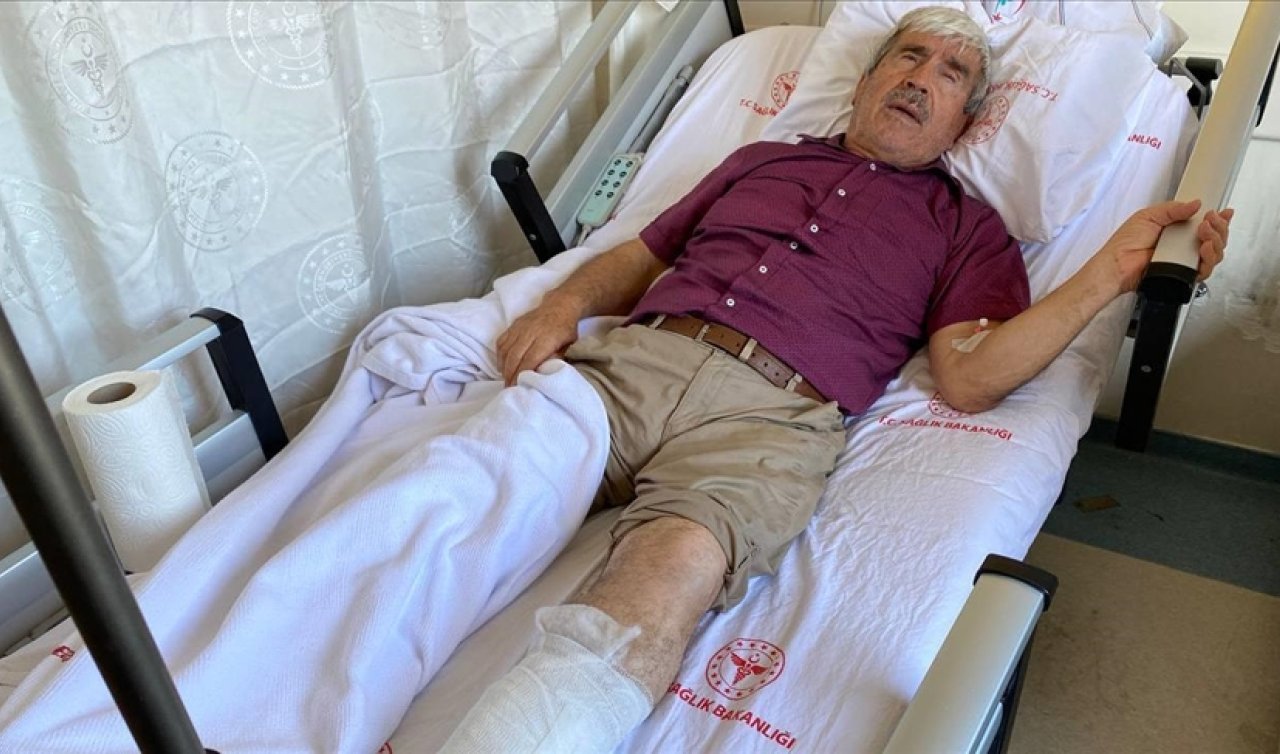  Antalya’da sahipsiz köpeğin saldırdığı kişi bisikletten düşerek yaralandı