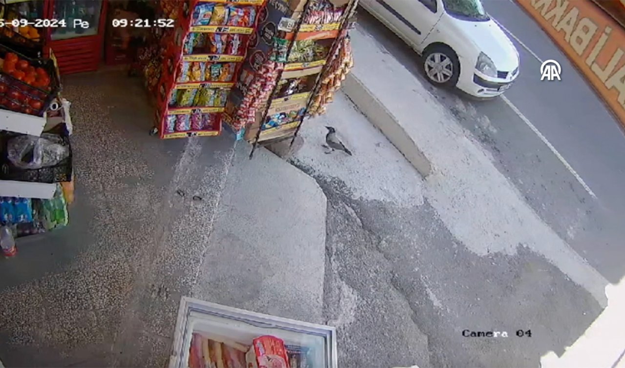   Tekel Bayisine büyük operasyon! Cips paketilerinin içerisinde ele geçirildi