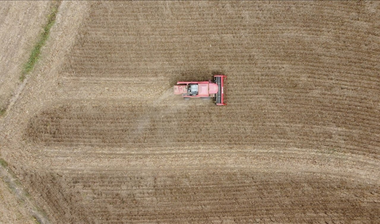  İklim değişikliği tarıma vurdu! Ekim ayı verimliliği etkilendi!