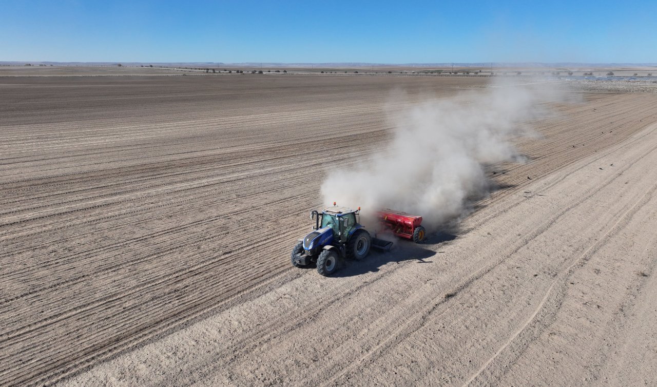  Konya’da 800 dekarlık atıl arazide iklim değişikliğine ve kuraklığa dayanıklı yerli ve mili tohumlar ekildi!