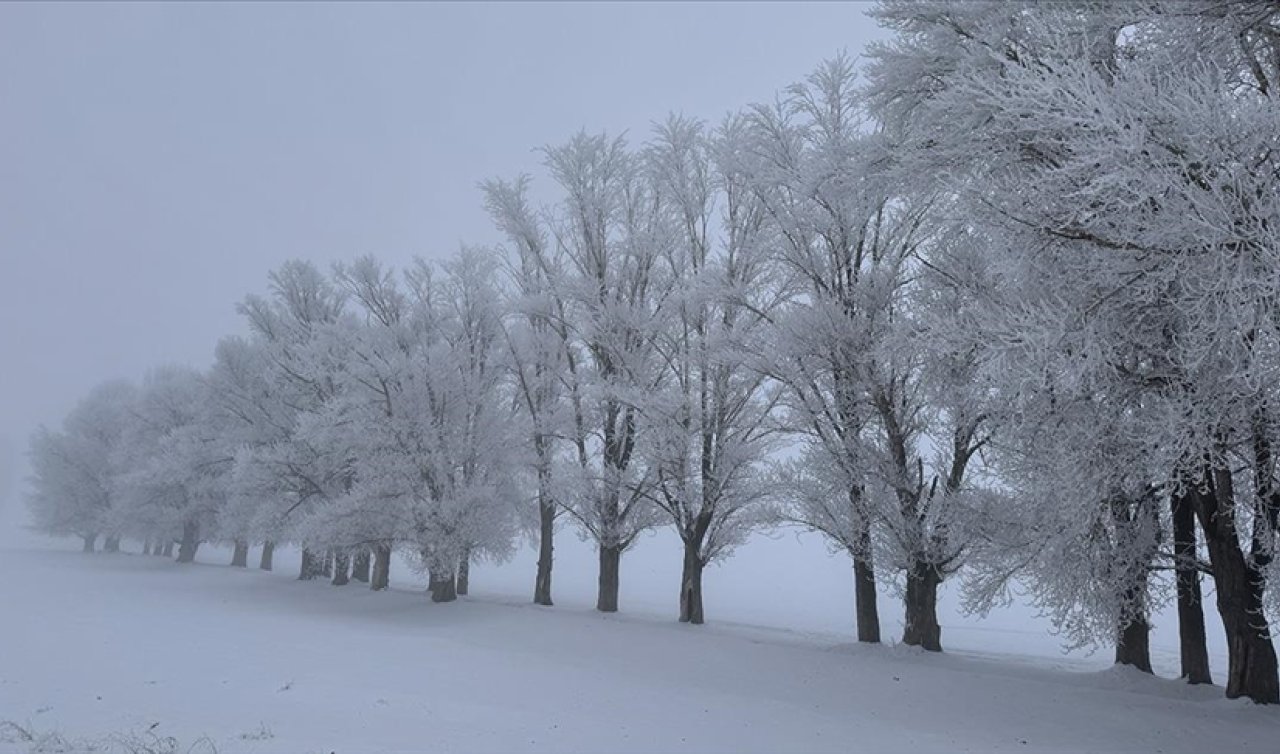  Erzurum sıfırın altında Türkiye’nin en soğuk ili oldu!