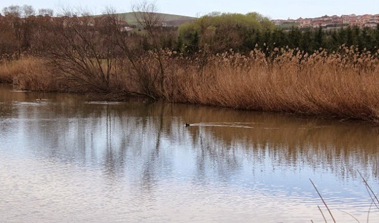 Tarımda dev atılım! Tepekent Göleti Konya’yı yeşertecek