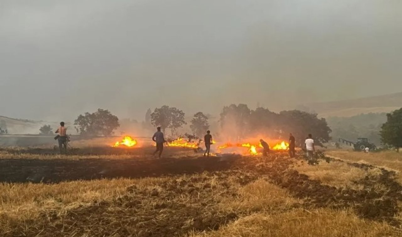 Konya’da buğday tarlasında yangın çıktı