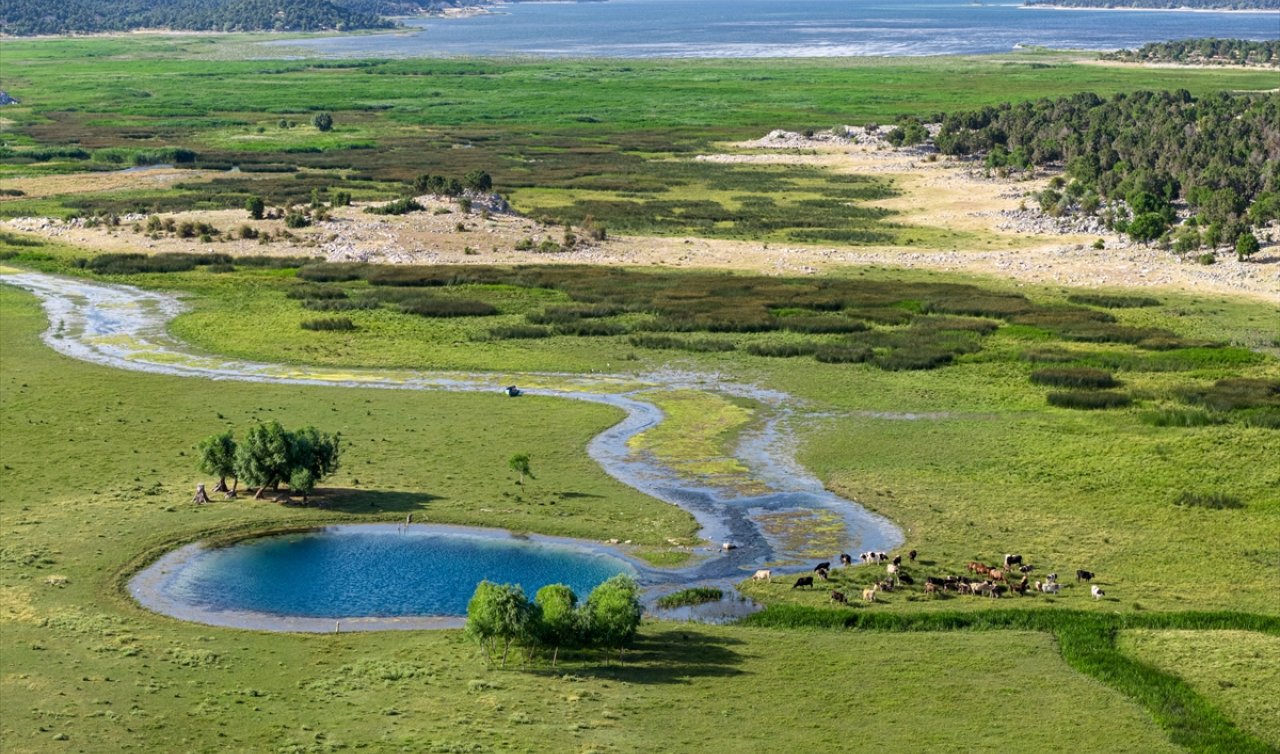 Konya’nın bu gölünde su çekildi, gözeler belirdi