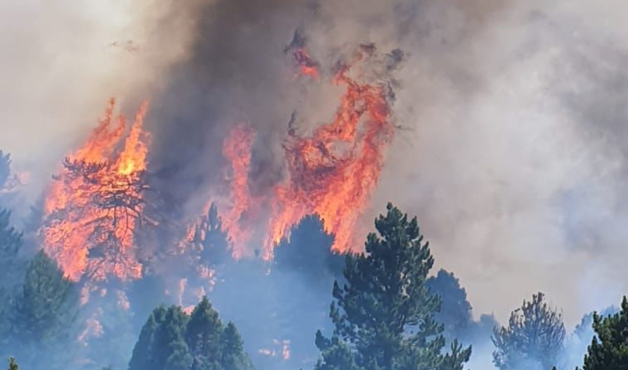 Konya’da yaşanan orman yangınının sebebi belli oldu