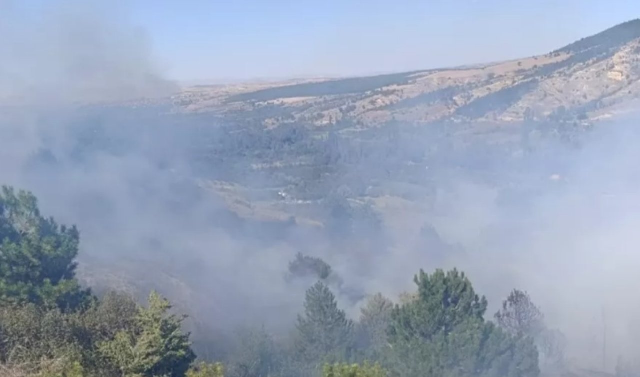 Konya’da ormanlık alanda yangın çıktı