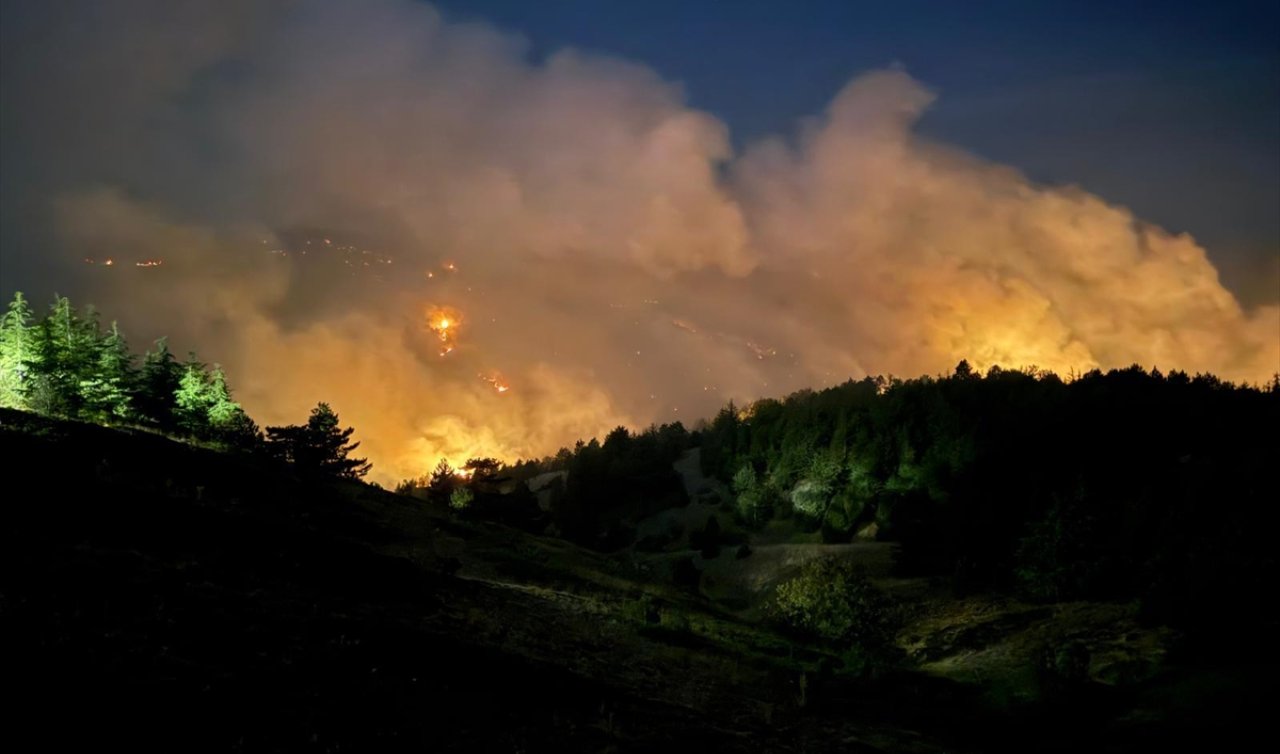 Konya’da ormanlık alanda yangın çıktı! Son durum ne?
