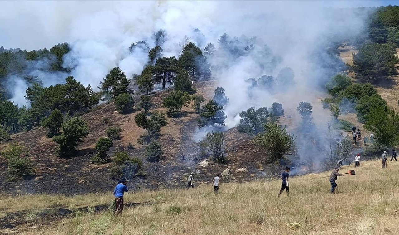 Bakan Yerlikaya açıkladı: Konya’daki orman yangının nedeni belli oldu