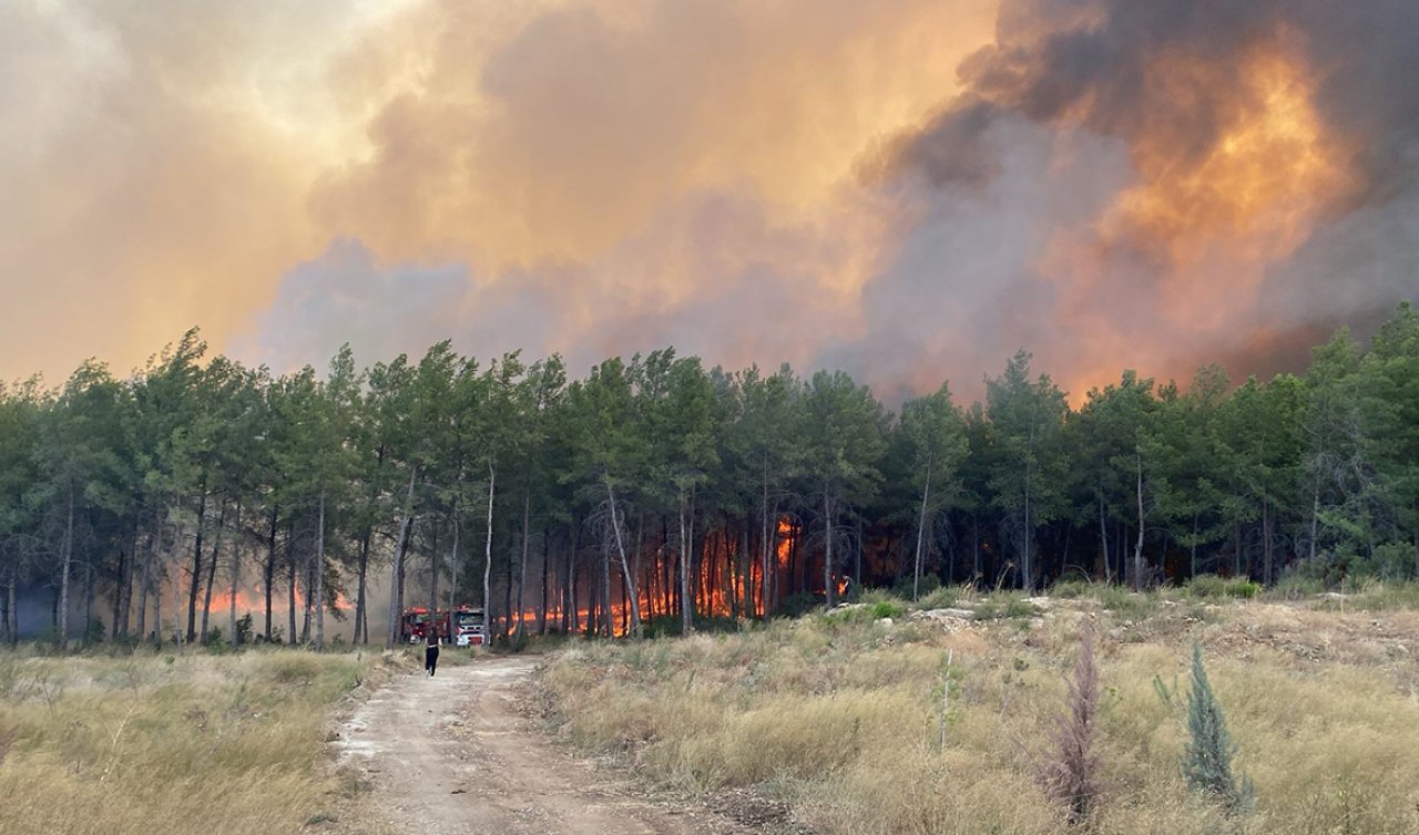 Bilecik ve İzmir “Genel Hayata Etkili Afet Bölgesi” ilan edildi