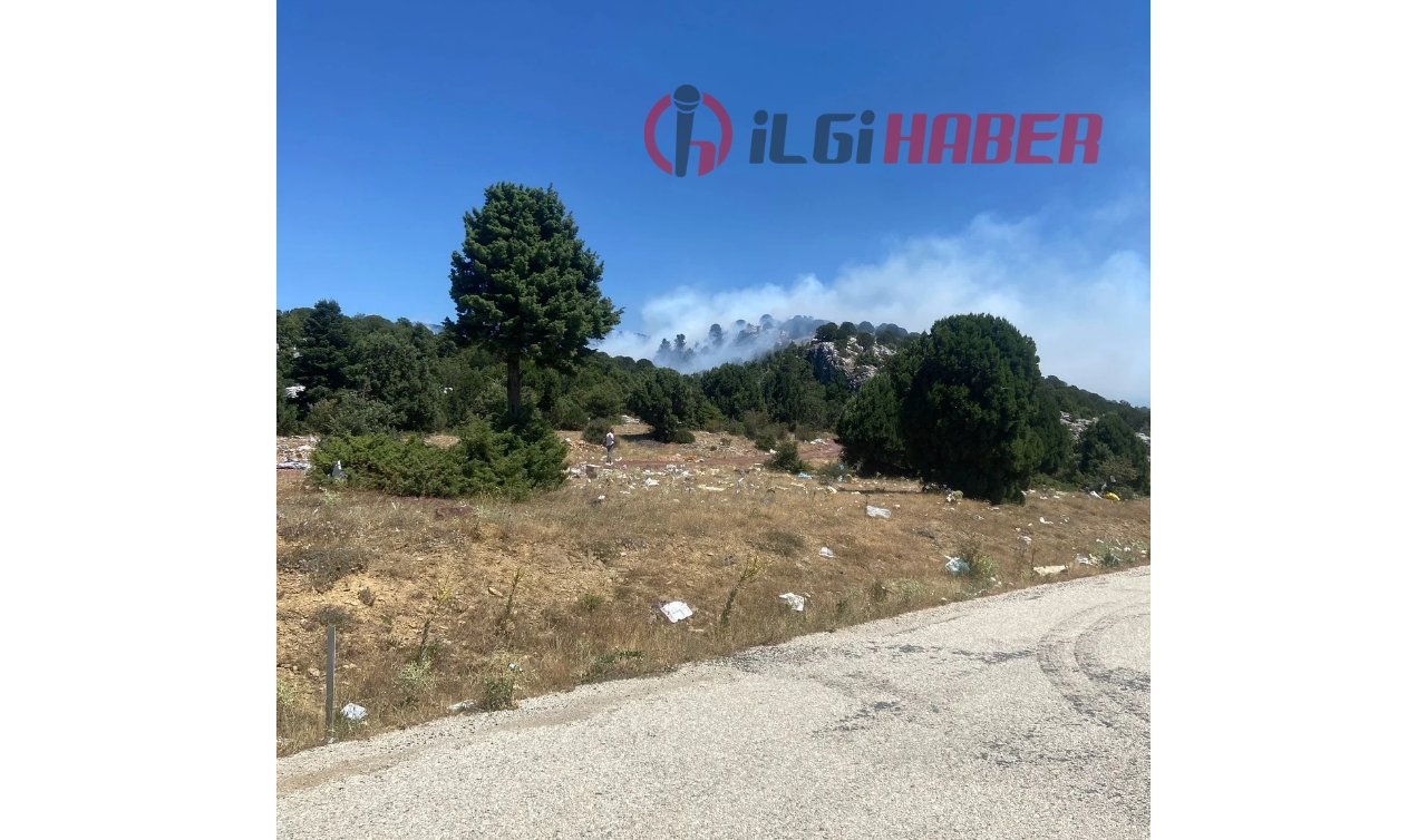 Konya’nın bu ilçesinde ormanlık alanda yangın çıktı!