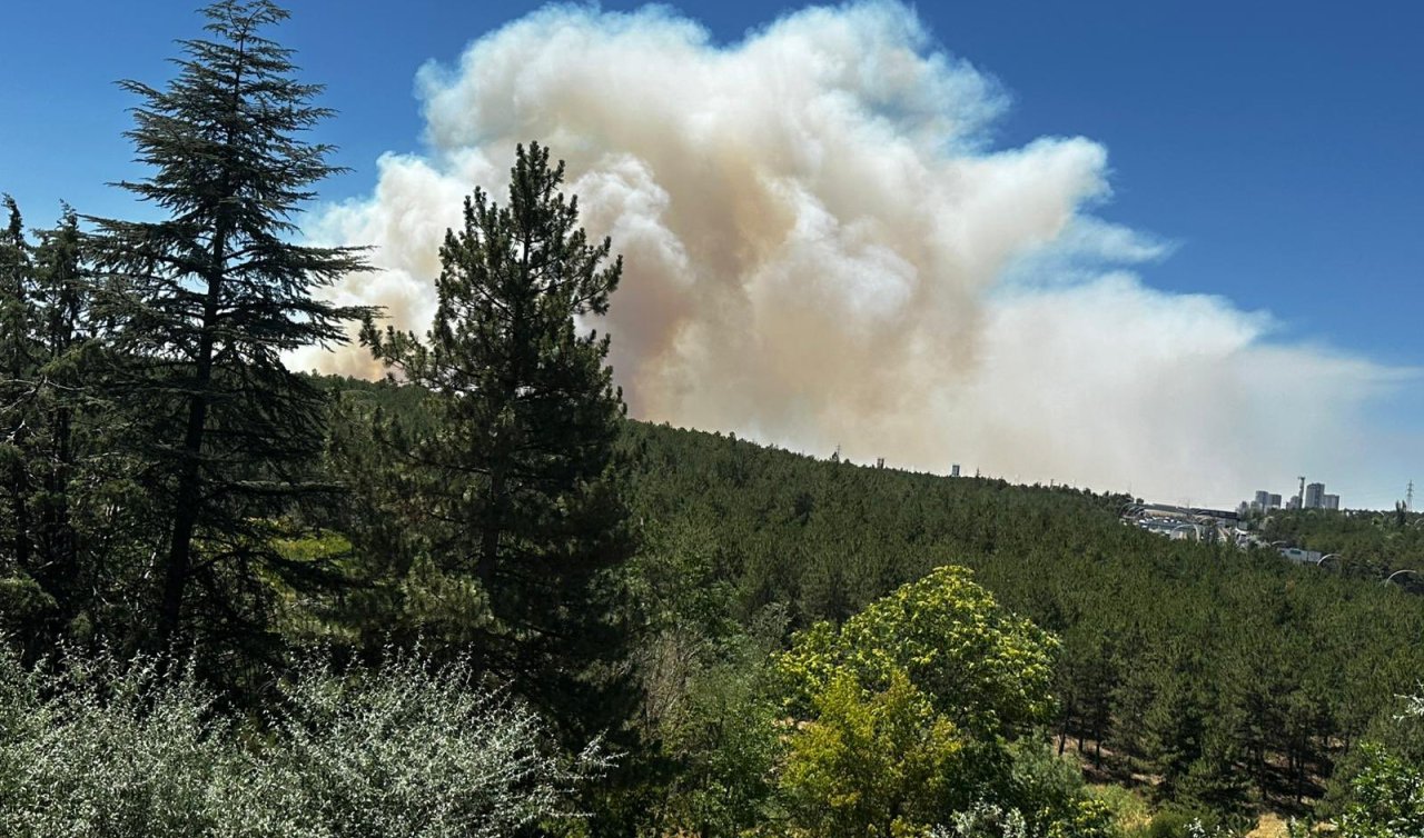 SON DAKİKA! Ankara’da orman yangını! Konya yolu üzerinden yoğun duman görülüyor