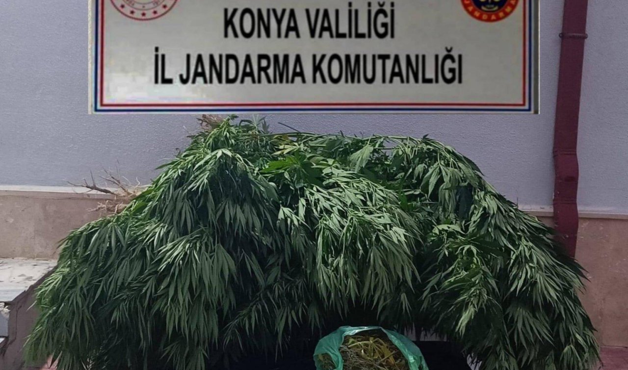 Konya Jandarmasından uyuşturucu operasyonu: Çok sayıda madde ele geçirildi