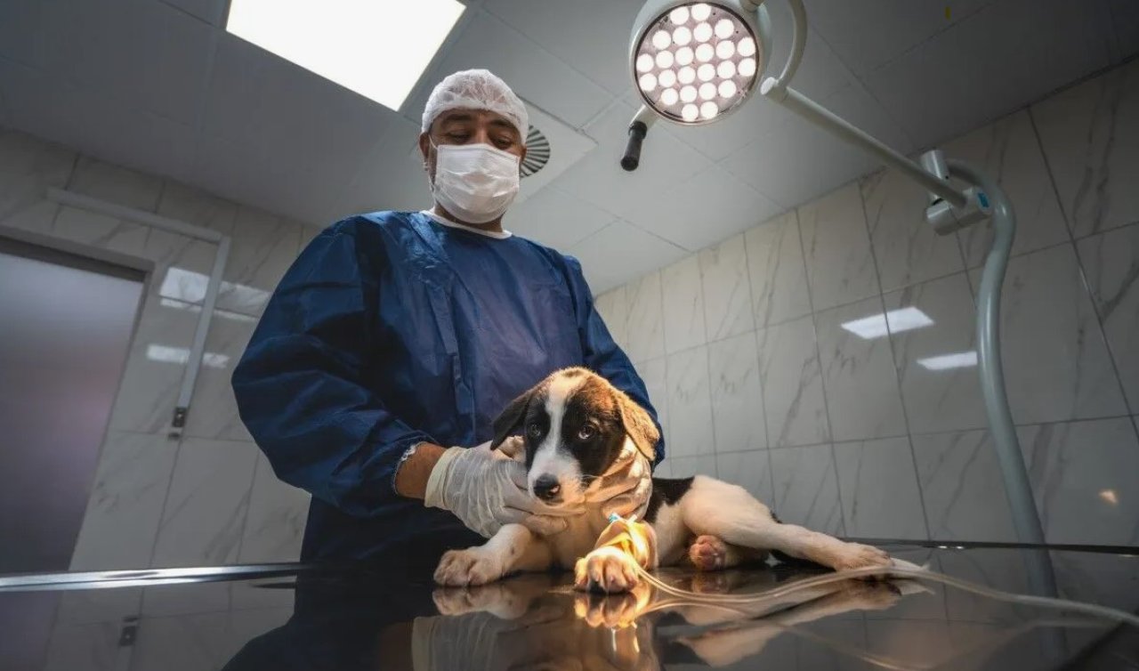  Böyle bir yer daha yok! Konya’da ilk kez dünya standartlarında bir hastane açılıyor  