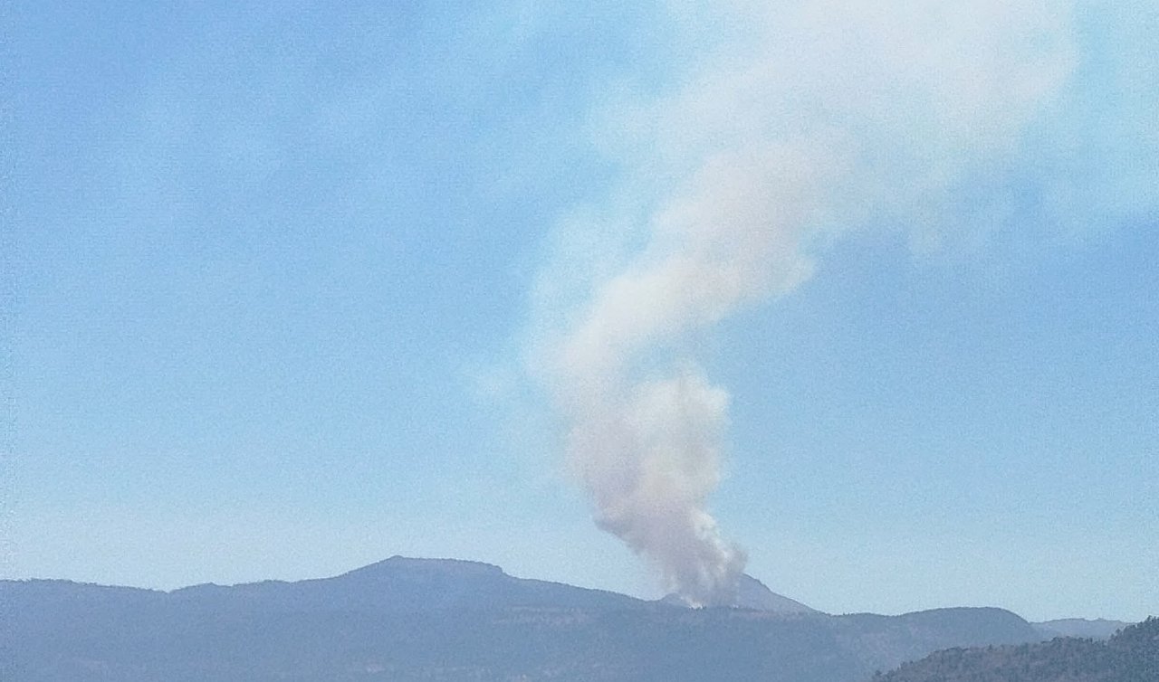  ​Karaman Ermenek’te orman yangını çıktı