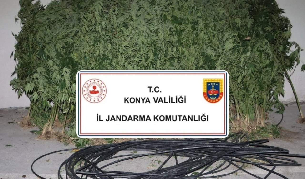  Konya’da Jandarmadan narkotik baskını: 1 kişi tutuklandı