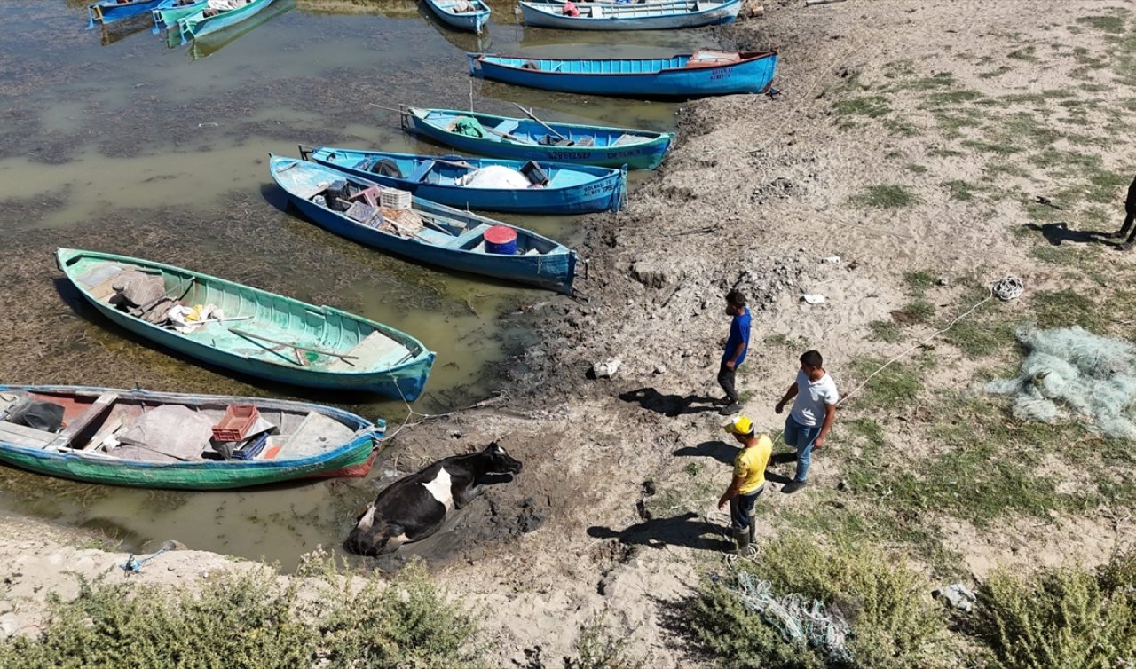 Konya’da çamura saplanan inek kurtarıldı