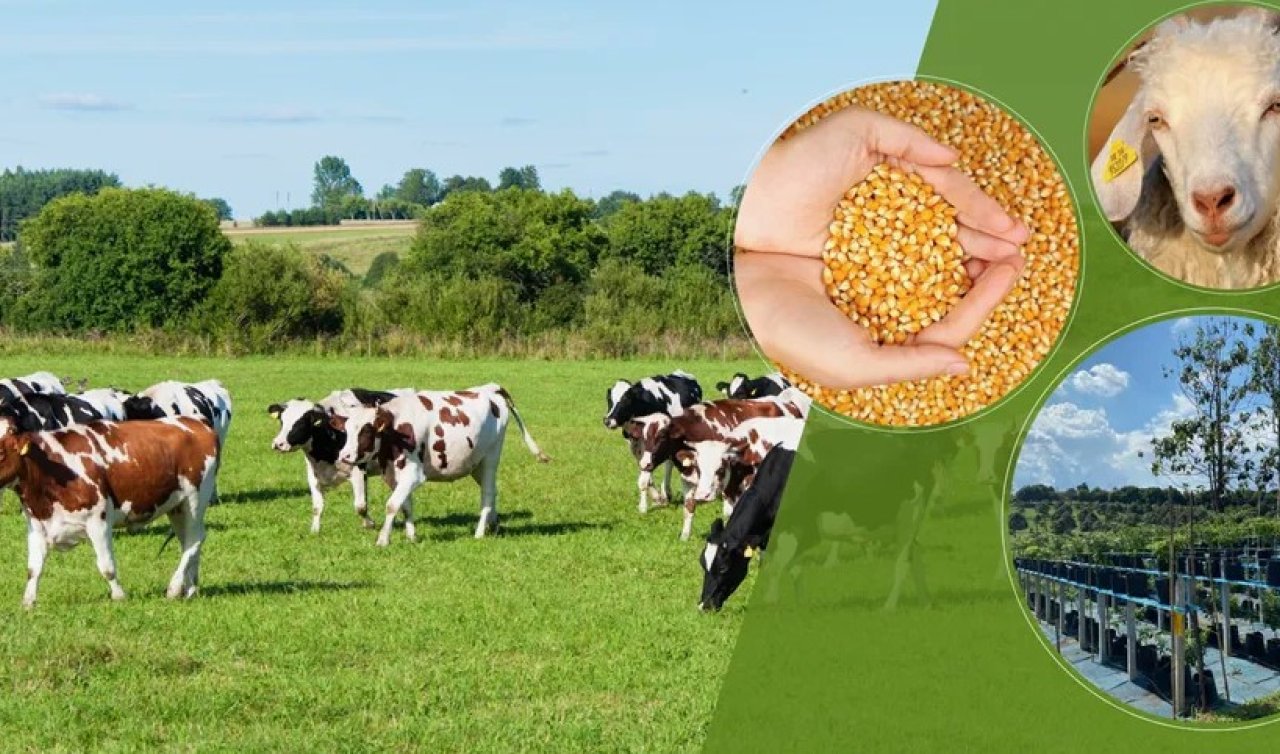 Konya’nın bu ileçsinde Tarım Hayvancılık ve Yem Fuarı yarın başlıyor 