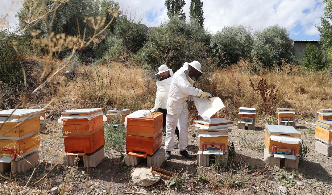 Devlet desteğiyle arıcılığa başlayan 5 arkadaş üretimi artırmayı hedefliyor