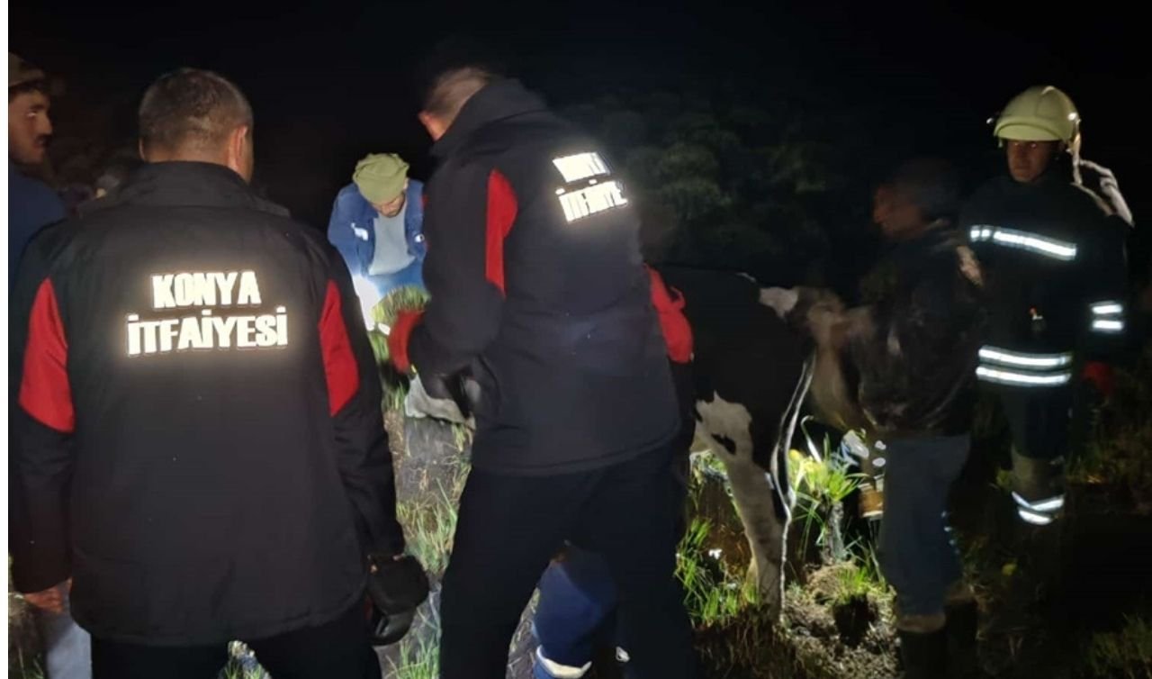 Konya’da bataklığa saplandı!  Ekipler seferber oldu