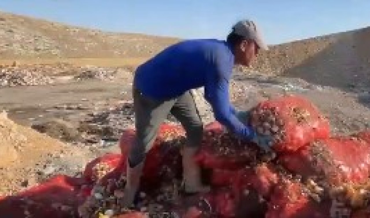 ​Konya-Karaman sınırında tonlarca soğan araziye döktü: Vatandaştan israfa tepki