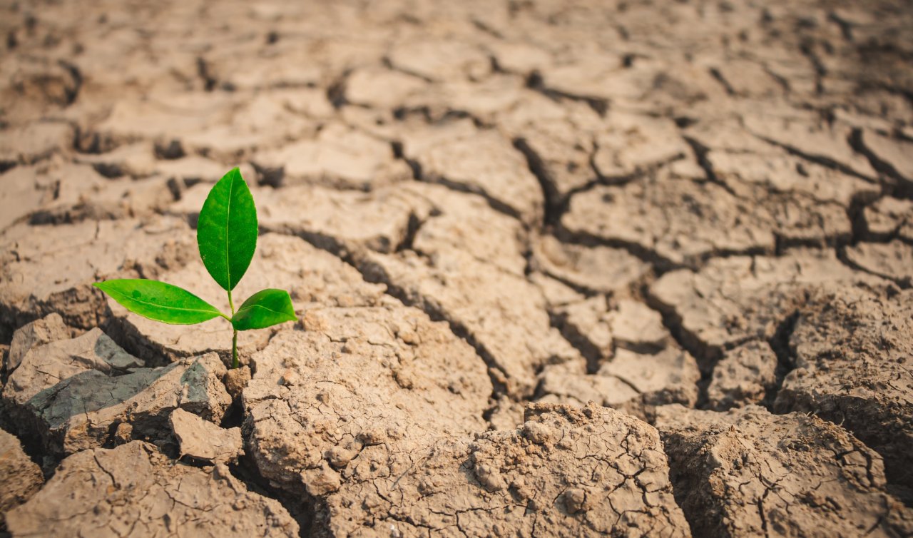  Konya çiftçilerine müjde: Tarımsal kuraklık araştırma önergesi TBMM’de