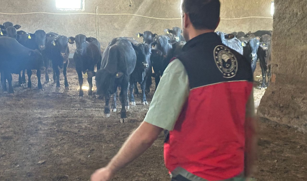 Tarım ve Orman Müdürlüğü Konya’da çiftçilere milyonluk cezalar kesti