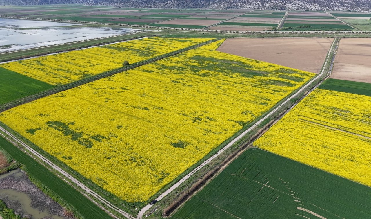 Konya’da tarım ve hayvancılığa büyük destek: Çiftçilere %75 hibeyle verilecek  