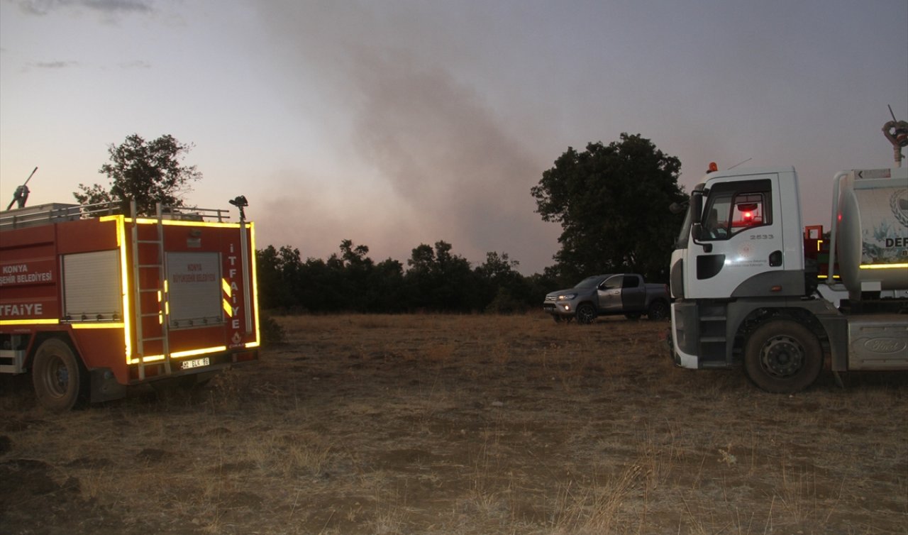 Konya’da sazlık alandaki yangın ormana sıçradı