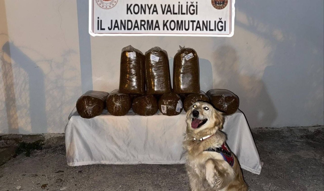  Jandarma dur dedi! Otobüsün bagajında tam 53 kilo ele geçirildi