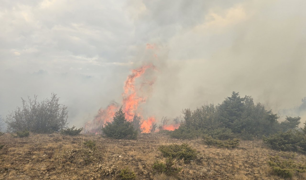  Konya’nın bu ilçesinde orman yangını çıktı 