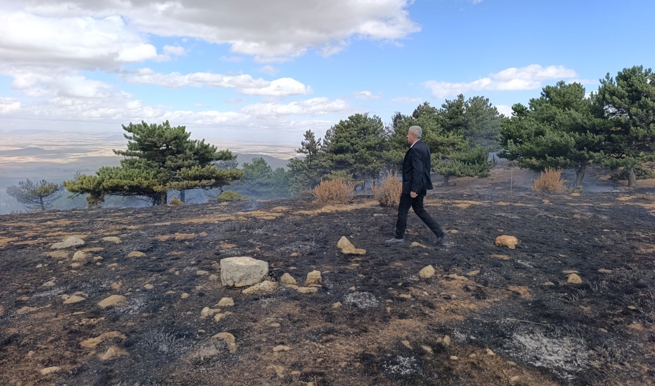  Konya’nın gözde piknik alanında yangın çıktı! Ekipler seferber oldu