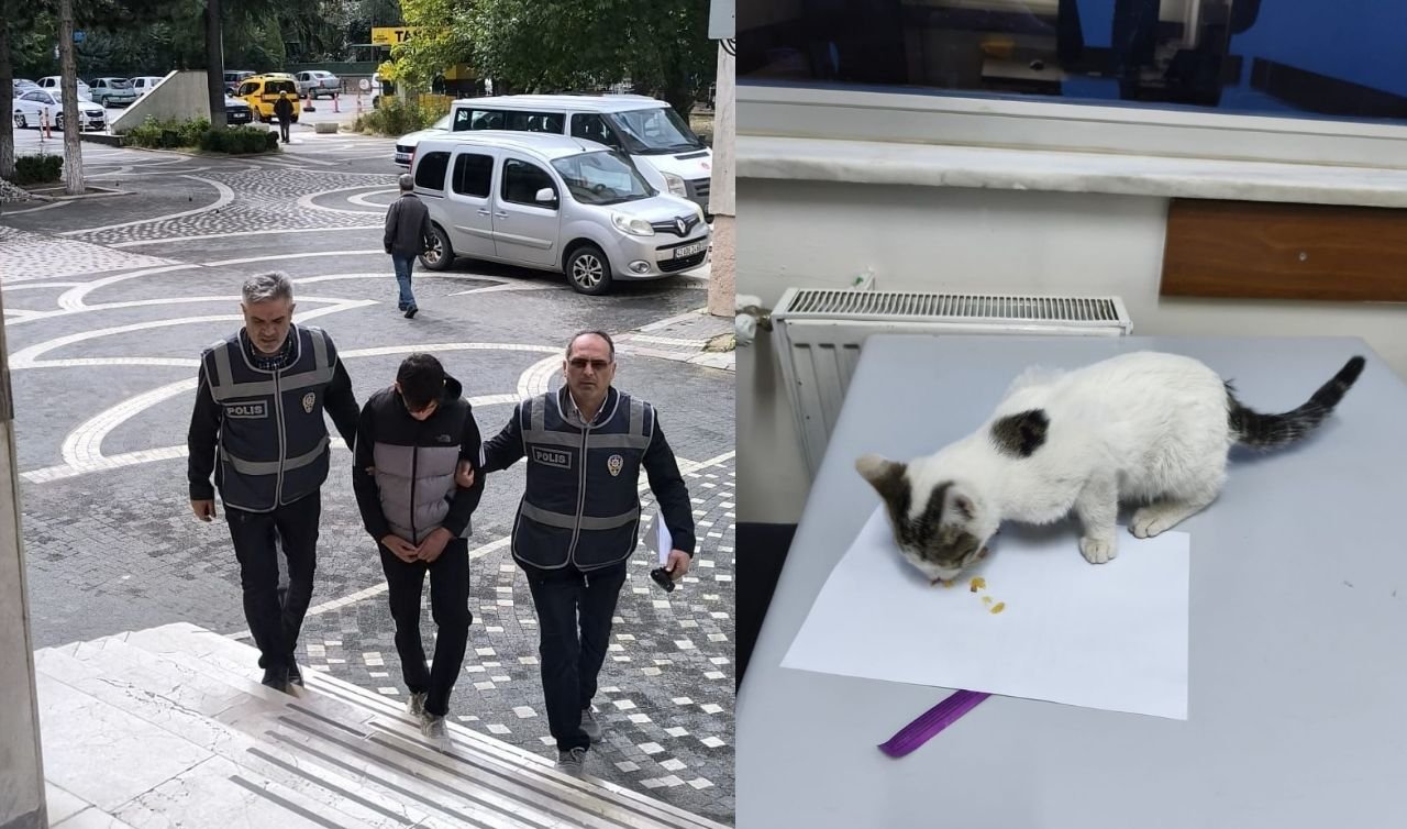  Sosyal medyada tepki yağdı : Konya’da kediye işkence eden kişi yakalandı 
