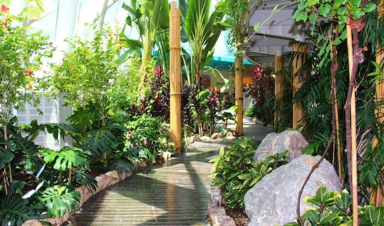 Türkiye’nin sıra dışı yapısı Konya’da bulunuyor: Tropikal Bahçe’yi keşfedin