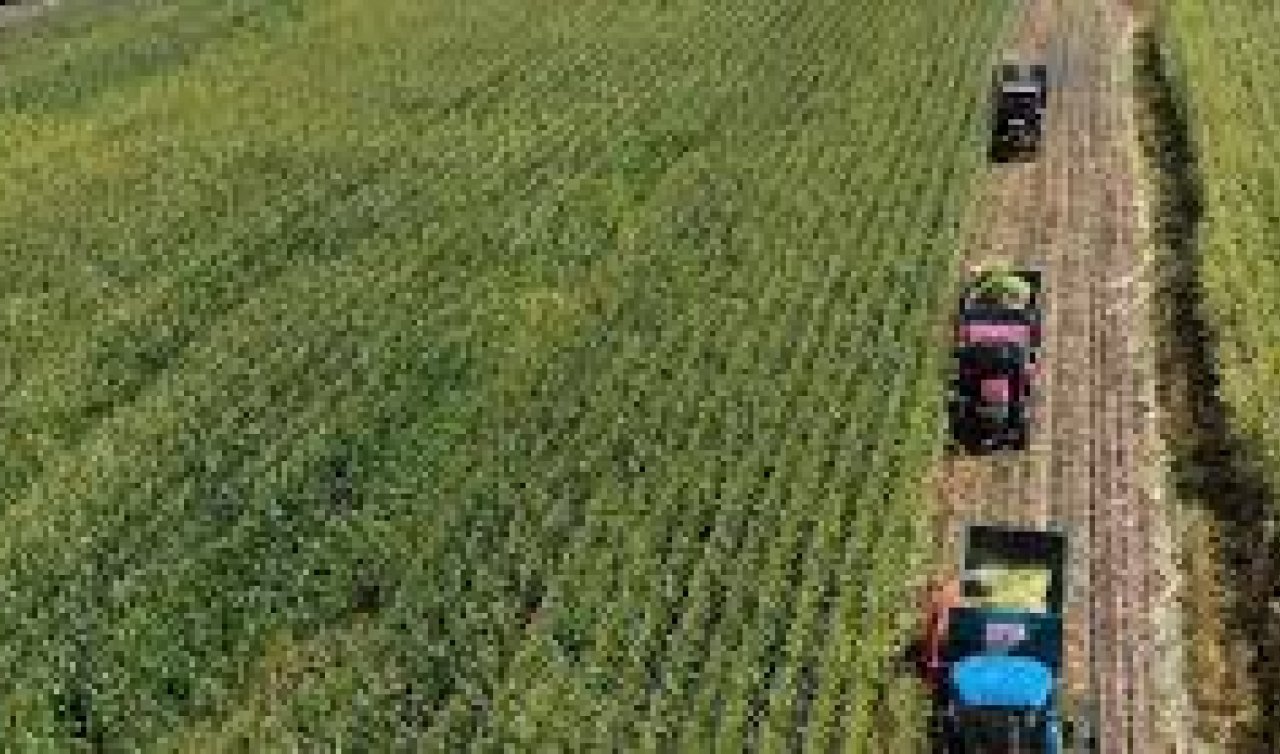  Tarımda verim artışı: Hümik asit kullanımıyla toprak kalitesi yükseliyor