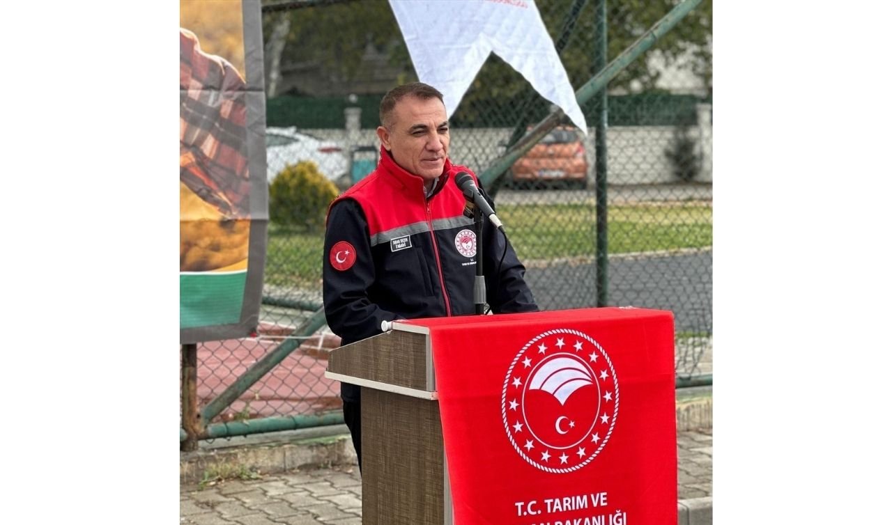 Tarımda yeni hamle! Konya’da çiftçilere mercimek tohumu dağıtıldı