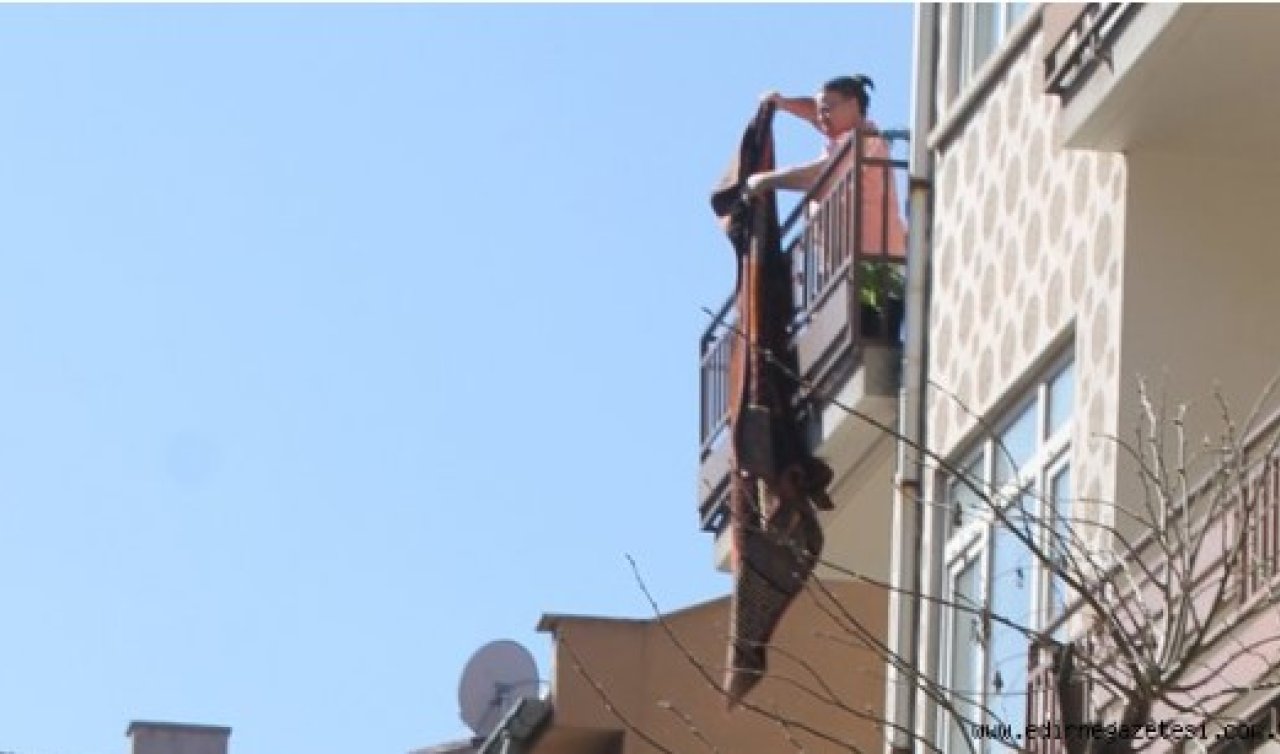 Komşusunun balkonuna halı silkeleyen kadın hapse girdi! Yargıtay’dan dikkat çeken karar