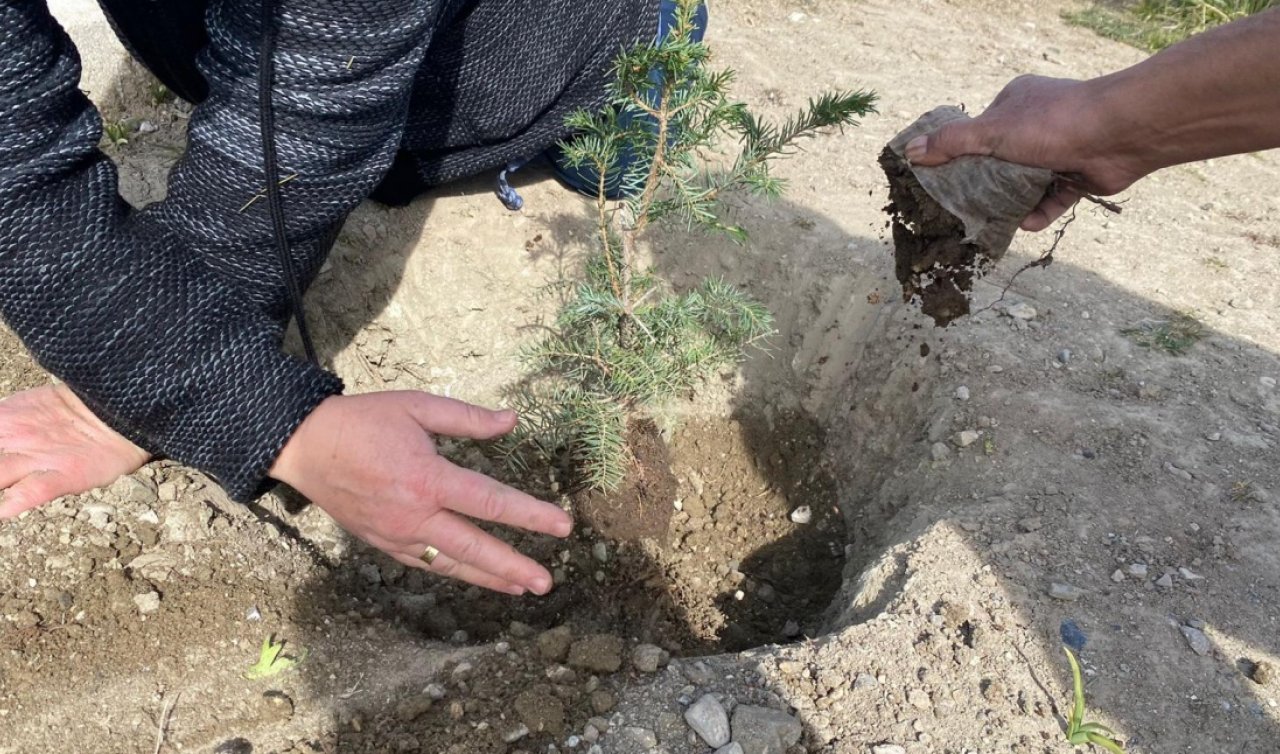 Hüyük Sonsuz Şükran Köyü’nde 500 fidan toprakla buluştu
