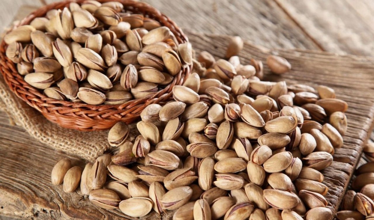 Yüzde 75 hibe ile Antep fıstığı fidanı: Konya çiftçisine büyük destek