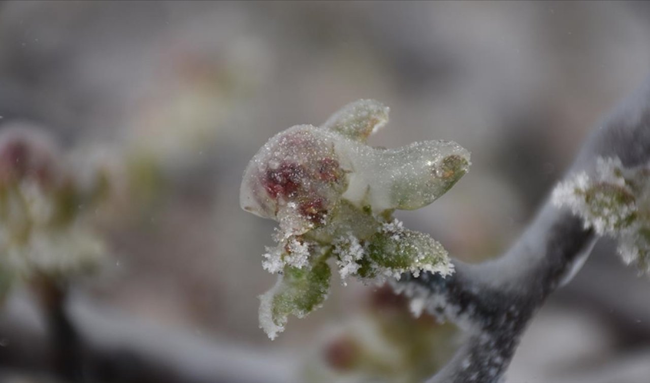 Konya’da gece sıcaklık 0 derecenin altına düşebilir! 