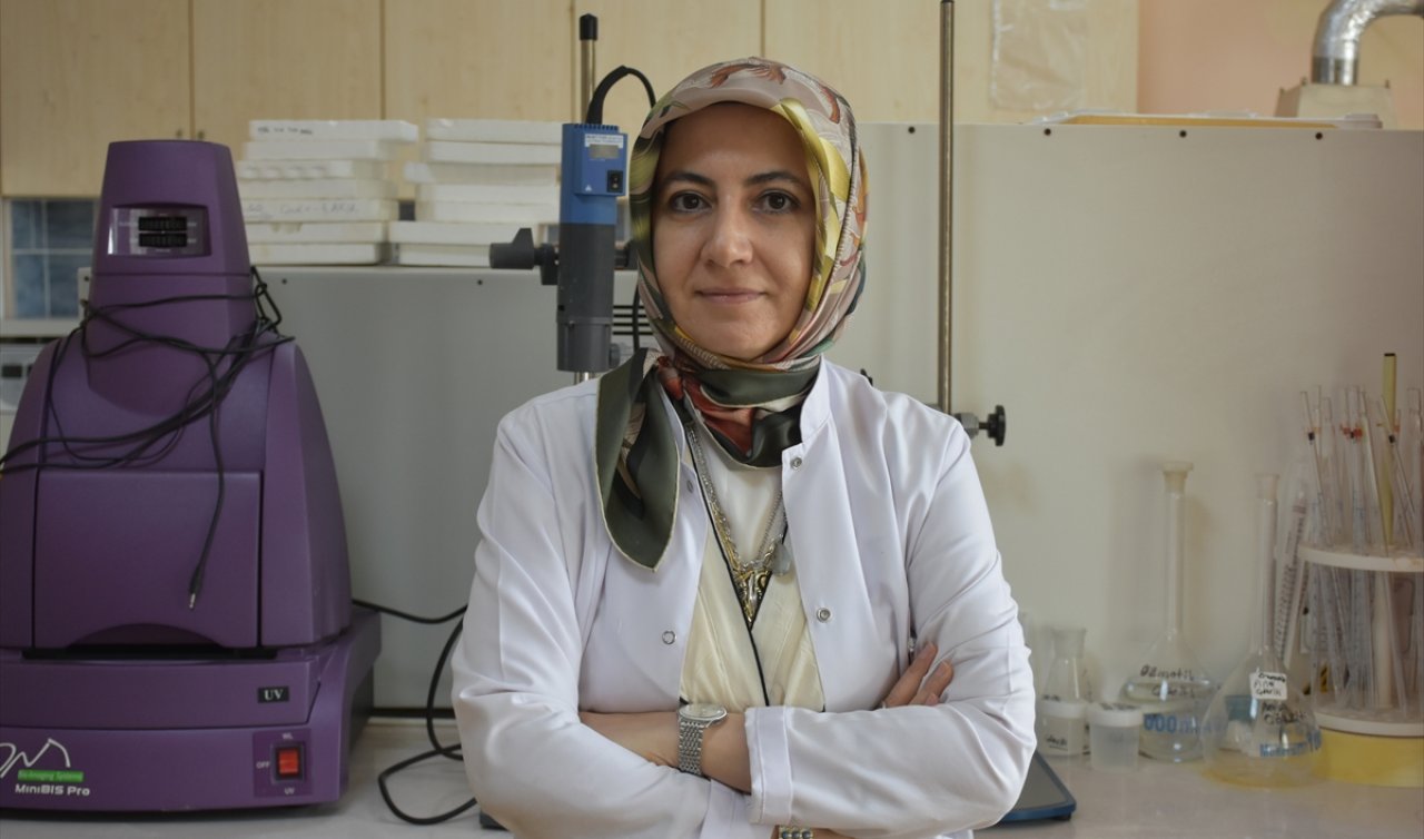 Diyet yapmadan zayıflatan formül: Selçuk Üniversitesi’nden çarpıcı lif araştırması!