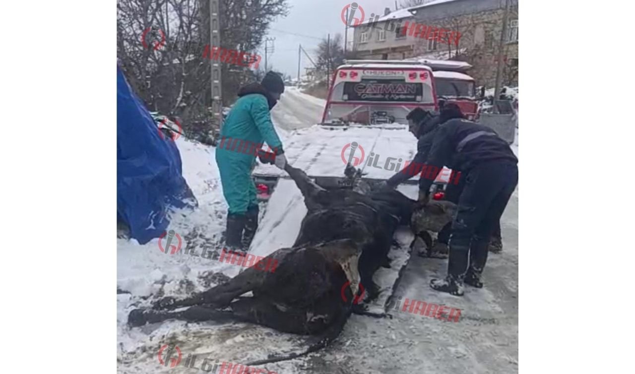 Vatandaşlar fark etti, Konya’da ekipler son anda müdahale etti