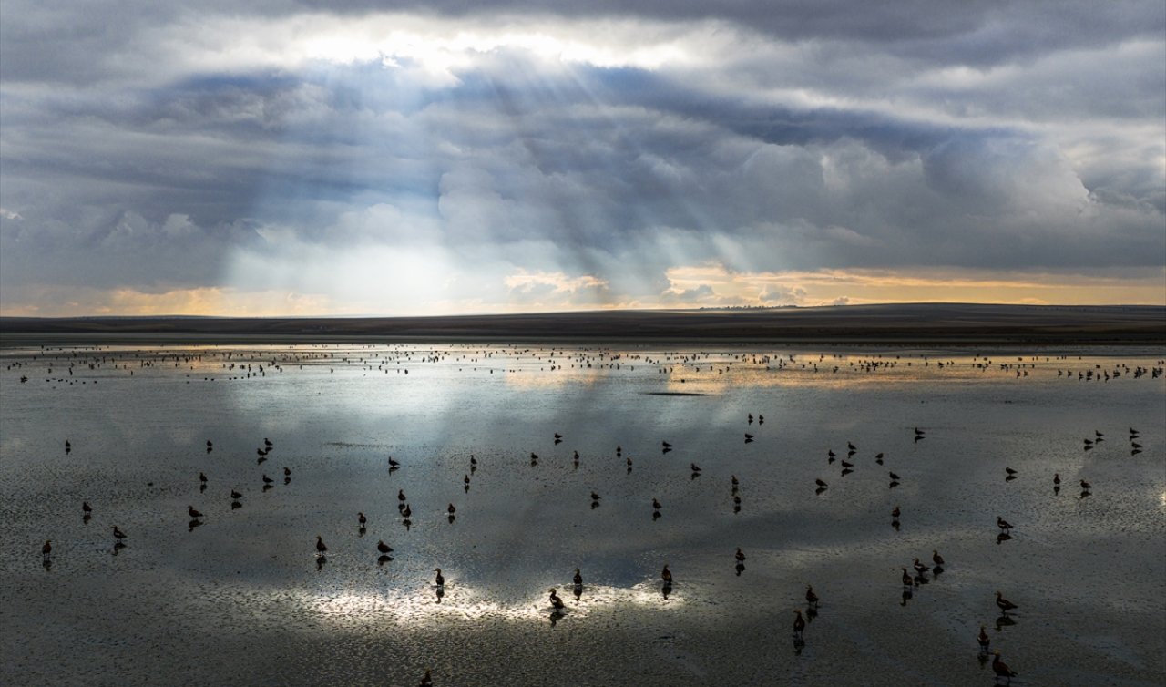 Göç yolu değil, angıt yolu! Binlercesi Konya’da buluştu