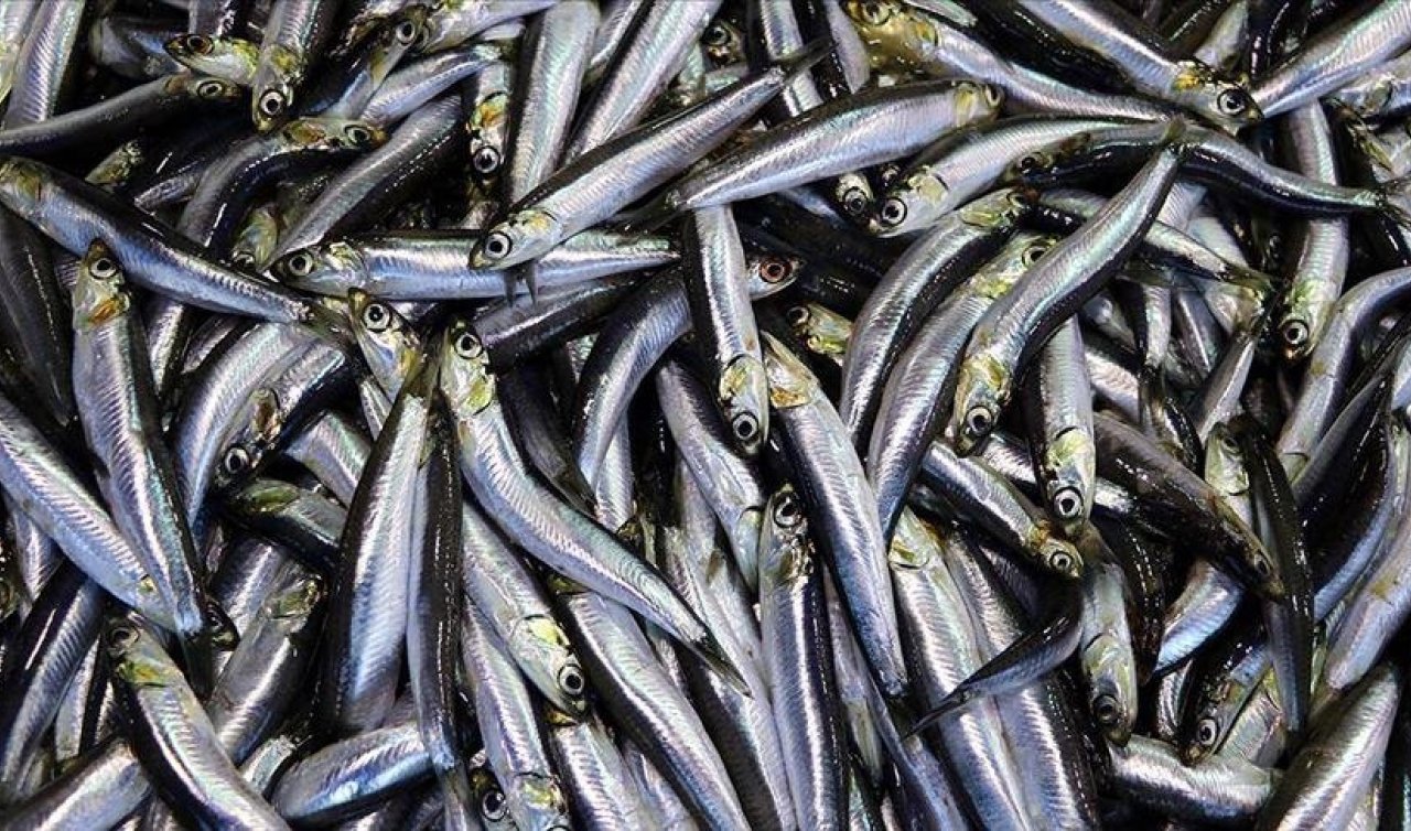 Balık tezgahlarında sürpriz değişim: Taht el değiştirdi