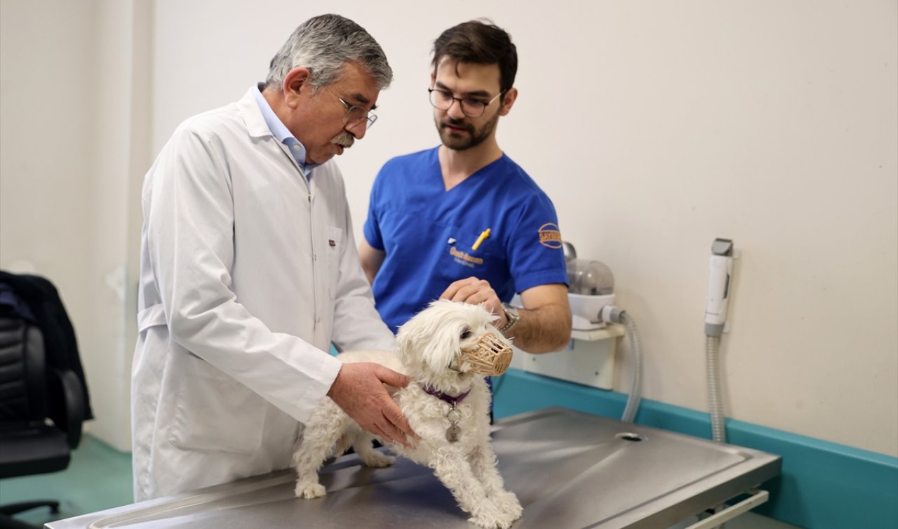 Kazalar, tümörler, diş acilleri… Konya’da 21 bin kişinin yolu bu hastaneye düştü
