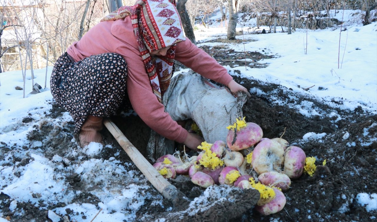  Buzdolabı yok, elektrik yok: Konya’da sebzeler toprağın altında aylarca taze kalıyor