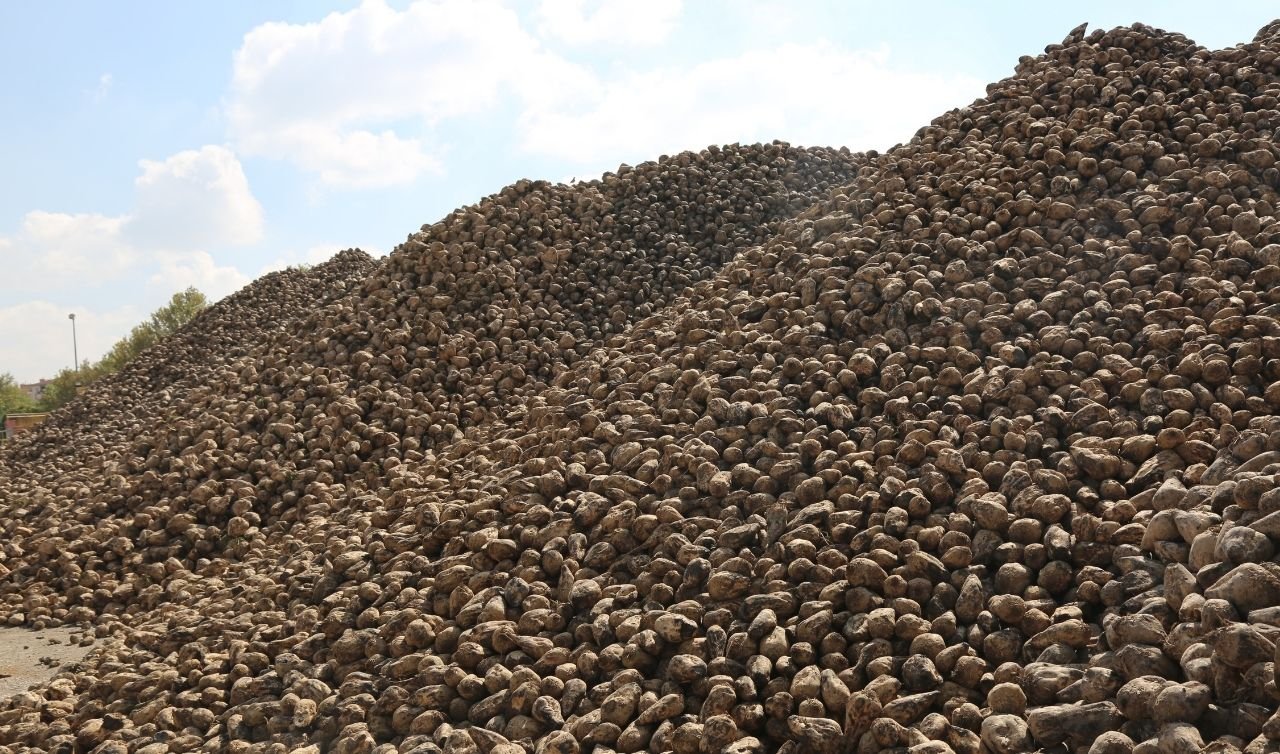 Tam 496 bin ton şeker üretildi! Konya Şeker’de kampanya sona erdi 