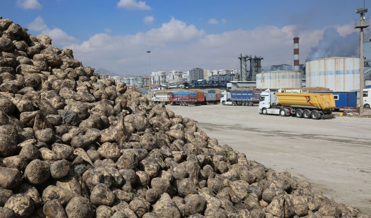 Konya Şeker çiftçinin yüzünü güldürdü: Milyarlık pancar bedeli hesaplarda