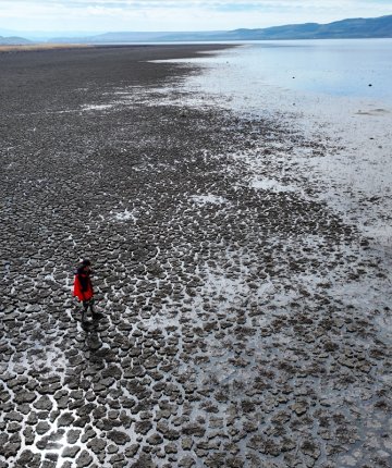 Konya’da kuraklığa direnen Çavuşçu Gölü yeniden umut oldu