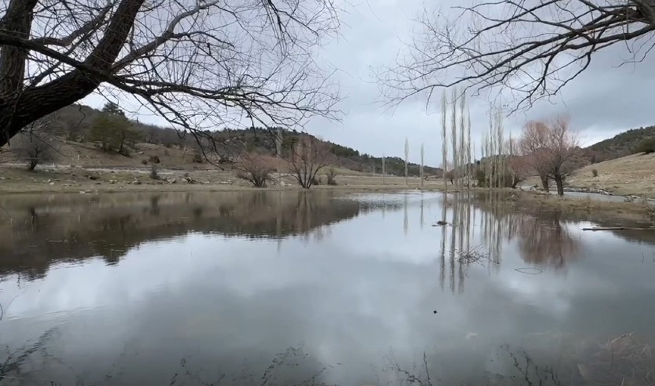 Konya’da kuraklığın ardından gelen yağışlarla toprak suya doydu