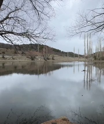 Konya’da kuraklığın ardından gelen yağışlarla toprak suya doydu